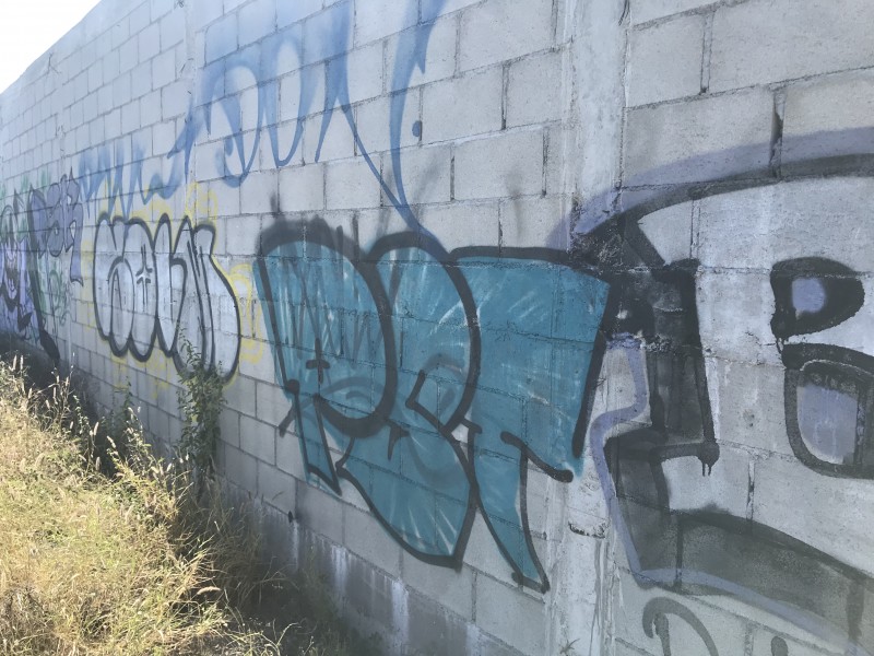 El graffiti continúa siendo un problema en la ciudad