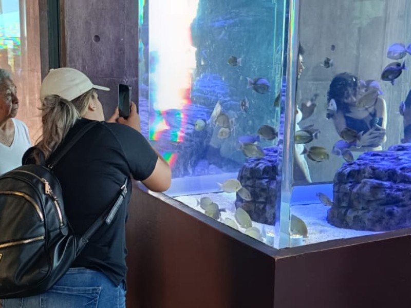El Gran Acuario Mazatlán: Un Referente Turístico de Sinaloa