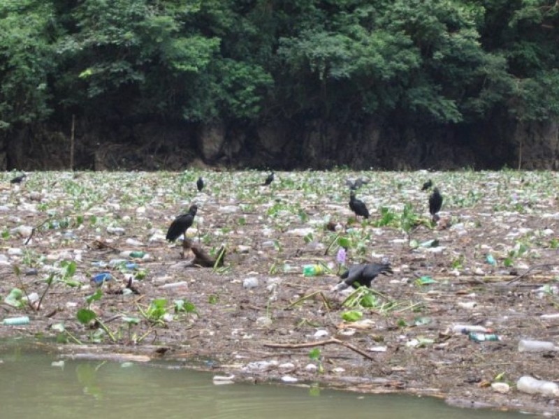 El Grijalva, el río más contaminado de México