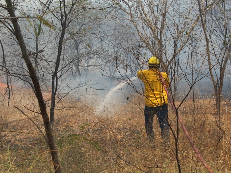 El hombre, principal responsable de incendios forestales, afirma especialista