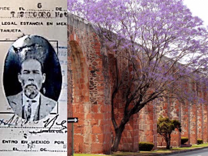 El japones que trajo la jacaranda a México