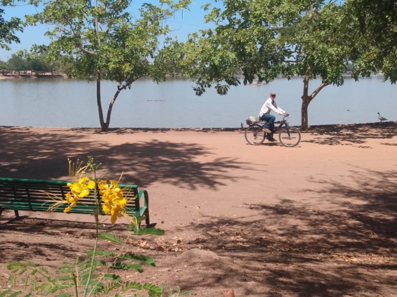 El Jardín de las mariposas, nace en la Laguna