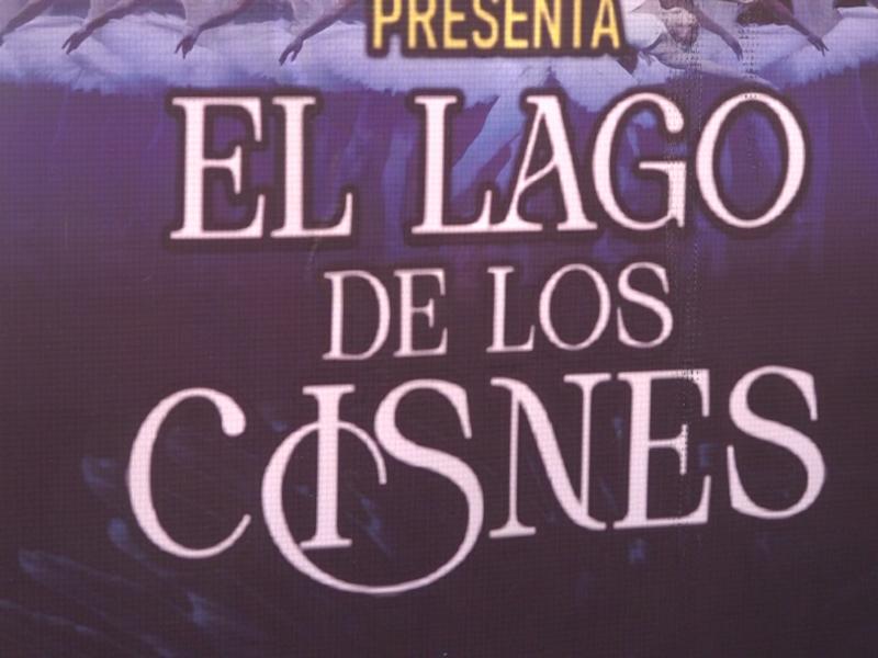 El Lago de los Cisnes llegará al Teatro Ricardo Castro
