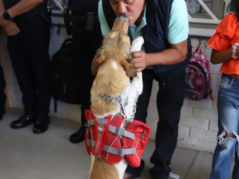 El maltrato animal en León es cada vez más grave