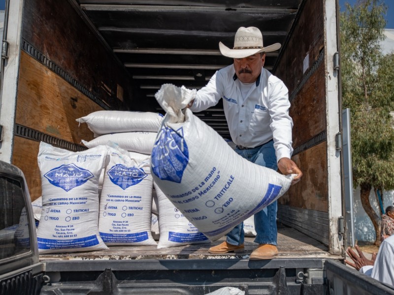 El Marqués fortalece campo con entrega de apoyos a agricultores.