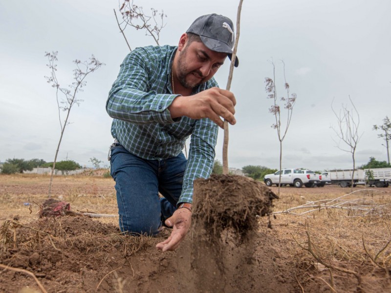 El Marqués realiza reforestación en San José Navajas