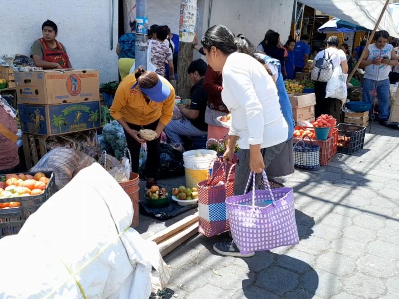 “El mercado una opción de supervivencia cotidiana en Tehuacán”