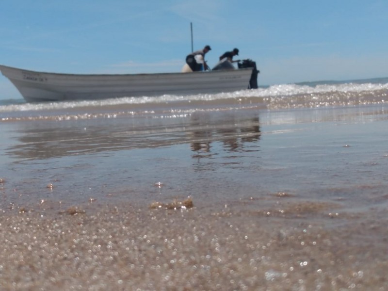 EL OLVIDO DE LOS PESCADORES EN EL GOLFO DE SC