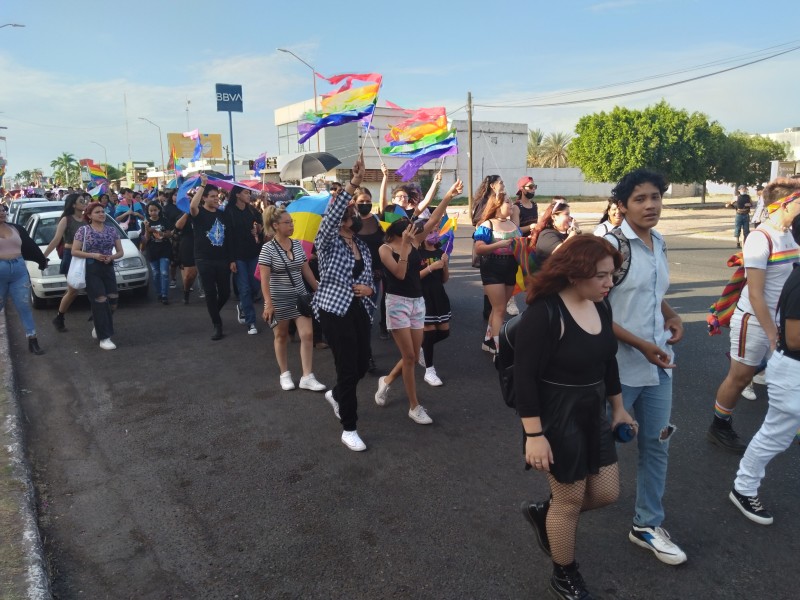 El orgullo LGBTQ* marchó por Obregón