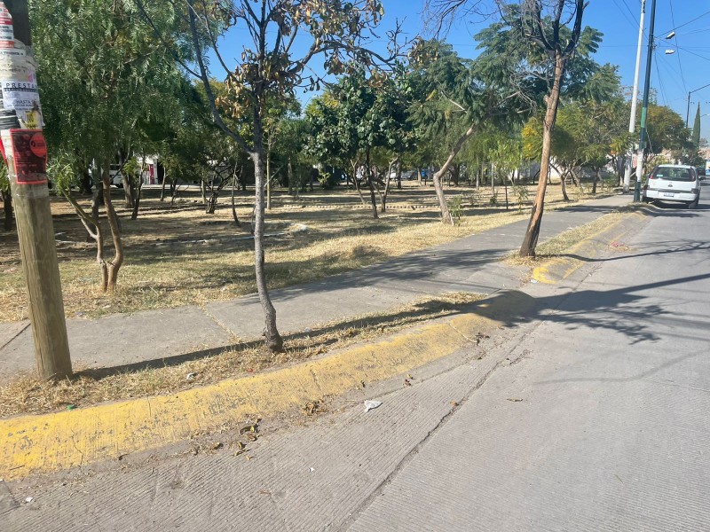 El parque de la calle el Cubilete, luce sin juegos