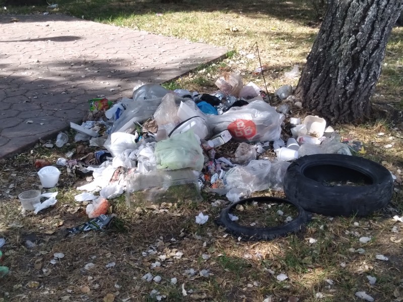 El parque Valle Verde en Toluca convertido en basurero municipal