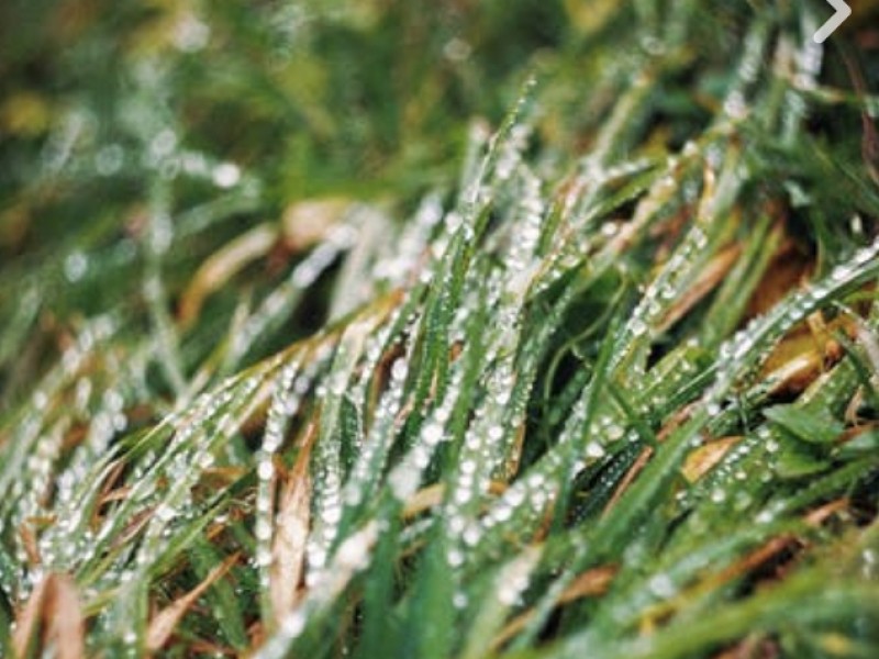 El retraso de las lluvias continúa afectando a campesinos