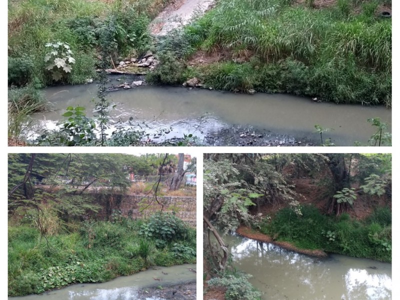 El río Sabinal agoniza por contaminación