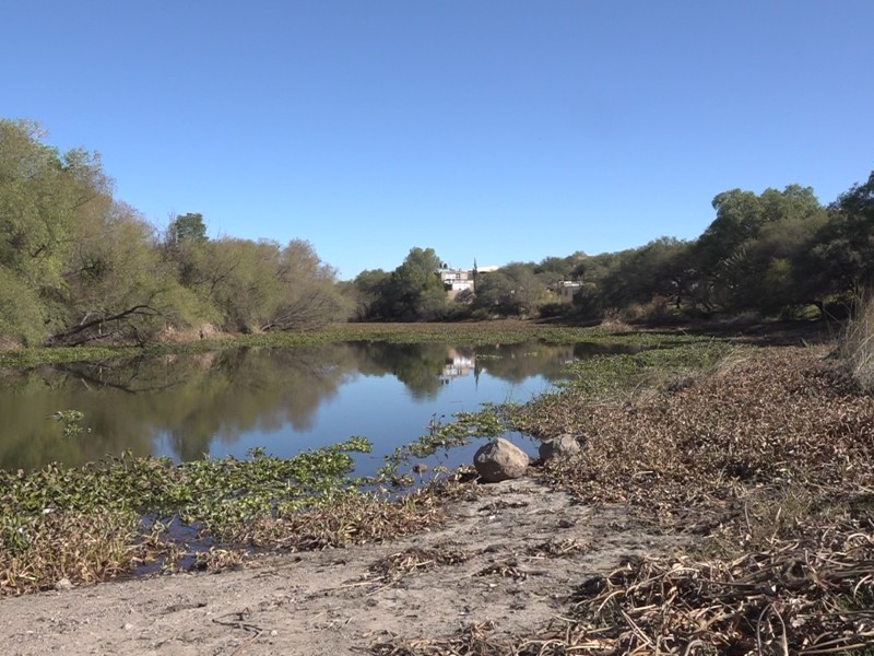 El río Tunal agoniza: contaminación convierte su cauce en un canal tóxico