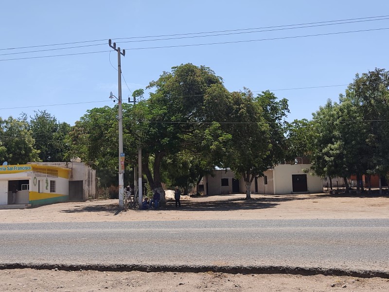 En El Sabino, Guasave sufren los estragos de la sequía