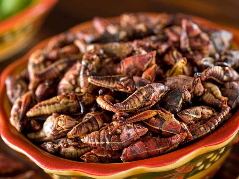 El sabor del futuro: chapulines en la alimentación moderna