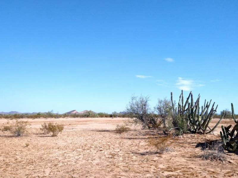 El segundo lugar ocupa Sonora en sequía severa