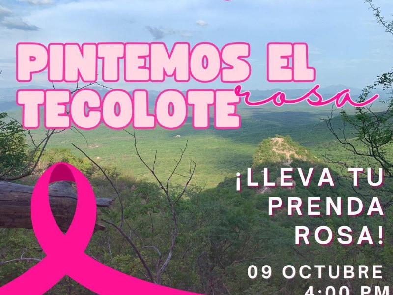El Tecolote en Álamos se pinta de rosa por una noble causa