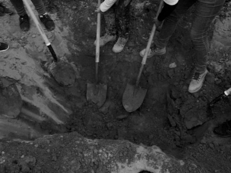El tortuguismo en identificación de cuerpos encontrados en fosas clandestinas