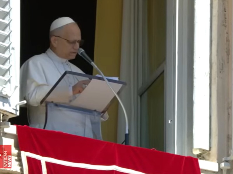 El uso de las armas debe callar afirma Papa León XIV