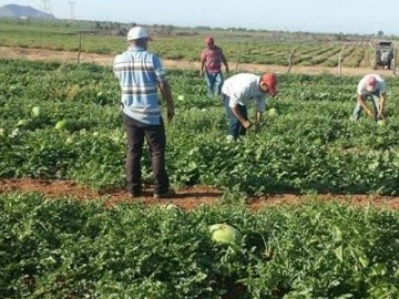 El valle se beneficia por el programa PEGUA