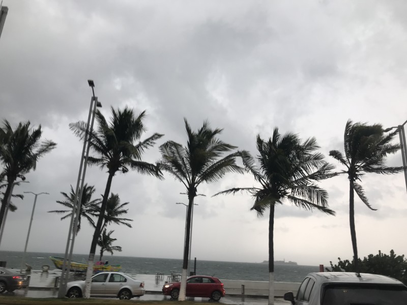 El viento de norte se reintensificará el próximo lunes