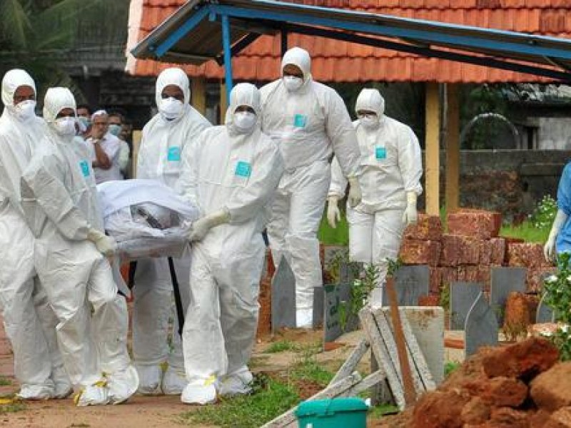 El virus Nipah podría ser la peor pandemia: alerta experto