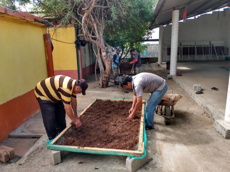 Elaboran abono con sargazo en Playa Vicente