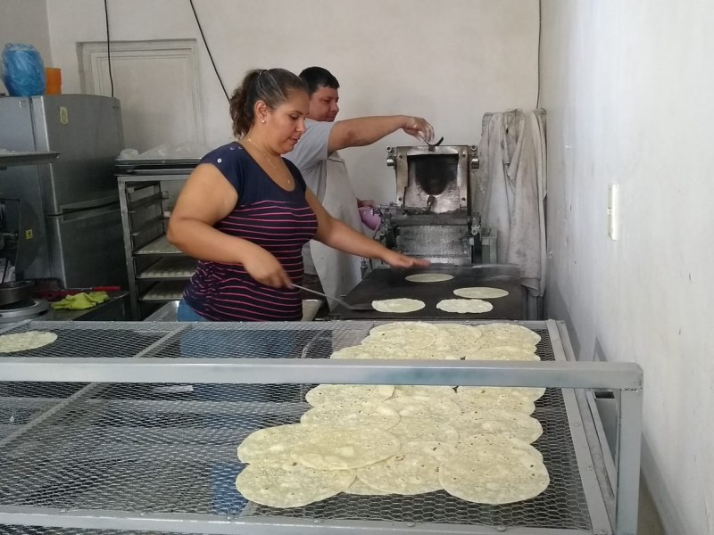 Elaboran tortillas de harina al estilo Sonora