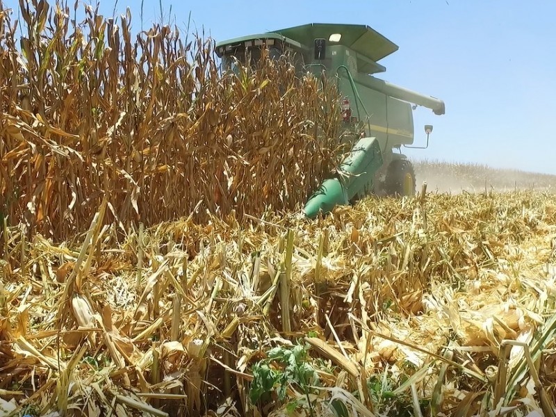 Eliminación de plaguicidas afectara producción agrícola, Aarc