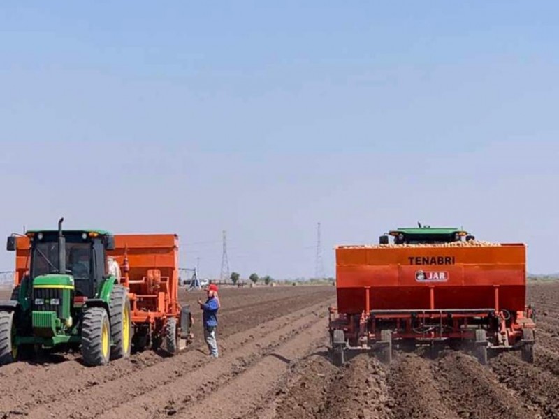 Eliminación del Fondo de Financiera Desarrollo, afectará a pequeños productores