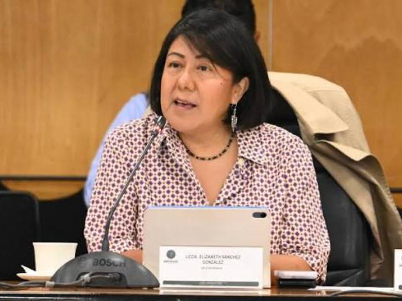 Elizabeth Sánchez atribuye a comité colegiado contratos en instituto electoral de Oaxaca