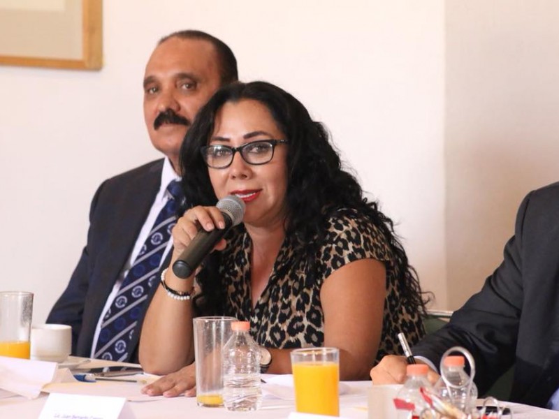 Elvia Higuera se retira del proceso para presidirCEDH