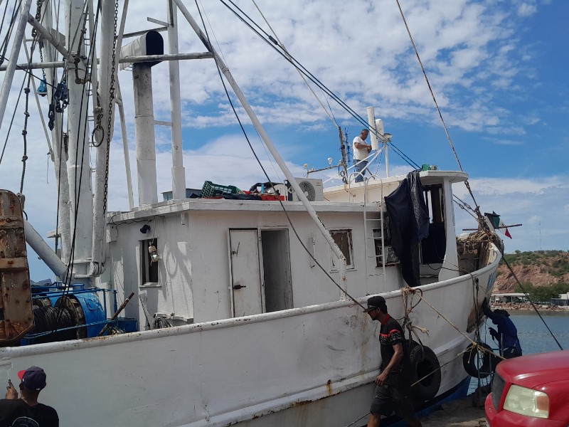 En los muelles de embarcaciones mayores se preparan para la temporada camaronera