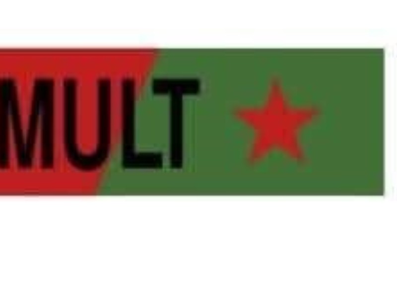 Emboscan a militantes del MULT Triqui; se desconoce número de victimas