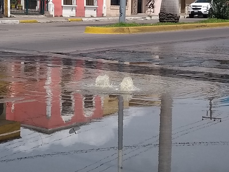 Emerge fuente de aguas negras en ave. México