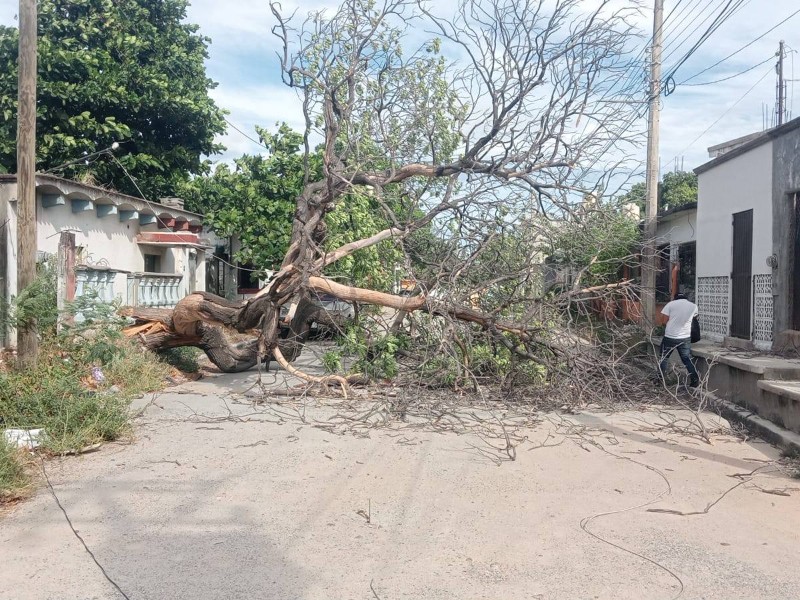 Emite Protección Civil alerta por fuertes vientos en el Istmo