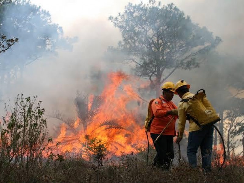 Emiten declaratoria de emergencia para municipios de Chiapas