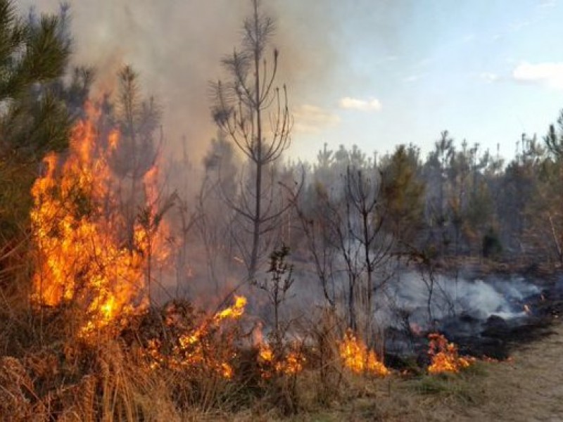 Emiten Declaratoria de Emergencia por incendios forestales en Oaxaca