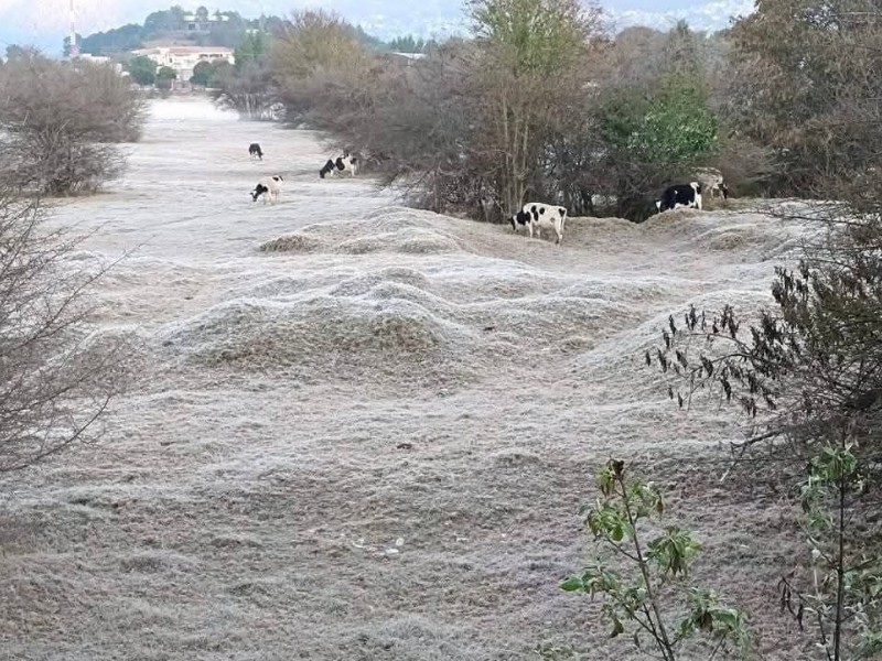 Emiten recomendaciones ante bajas temperaturas en San Cristóbal de Las Casas