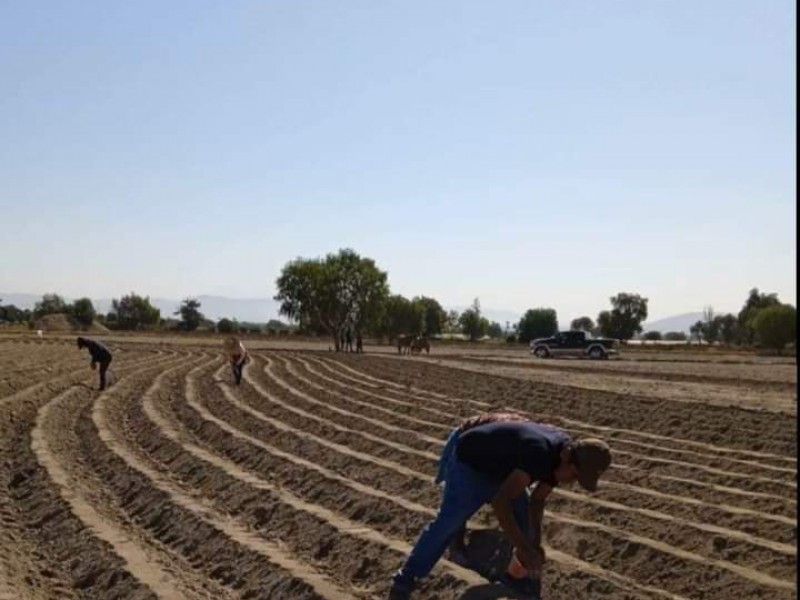 Empiezan con apoyos tras granizada en Los Reyes de Juárez