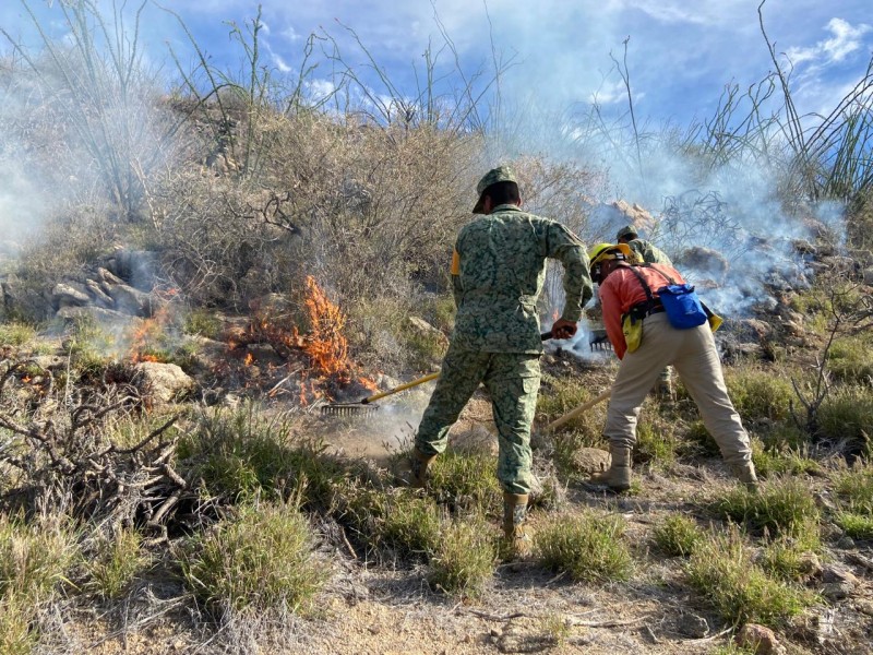 Empiezan los incendios forestales en Sonora