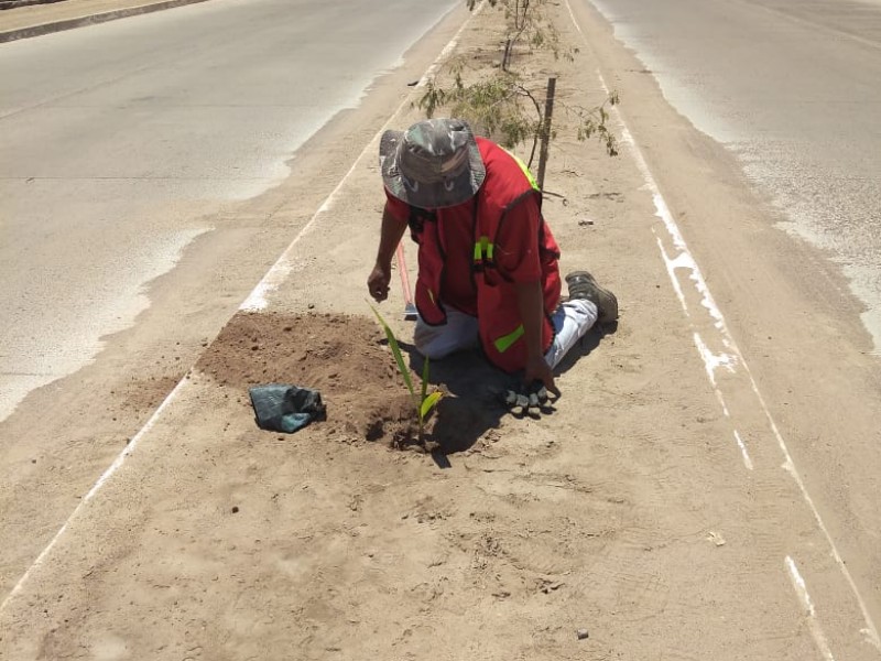 Emprenden campaña ecológica en Empalme