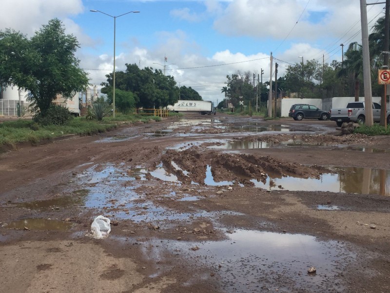 Empresa podría sacarle la vuelta a Obregón por sus calles