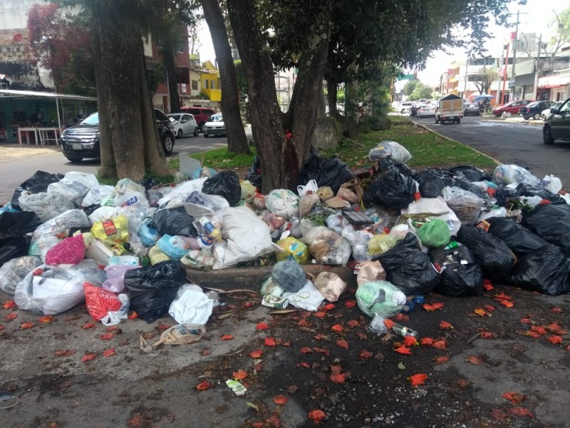 Empresarios exigen solución a problema de la basura