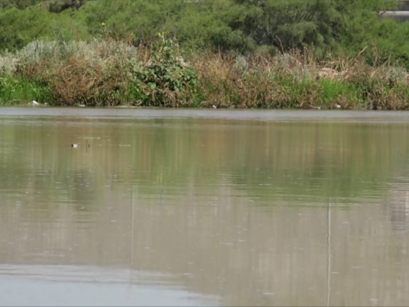 Empresarios ven viable Agua Saludable sin daño ambiental