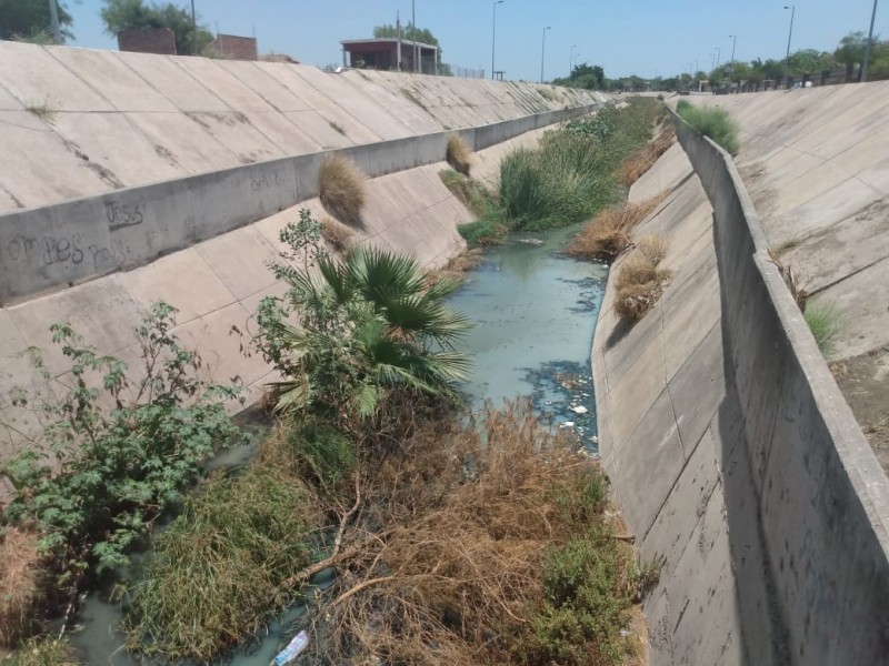 Empresarios y ciudadanos exigen la limpieza del Dren en Navojoa