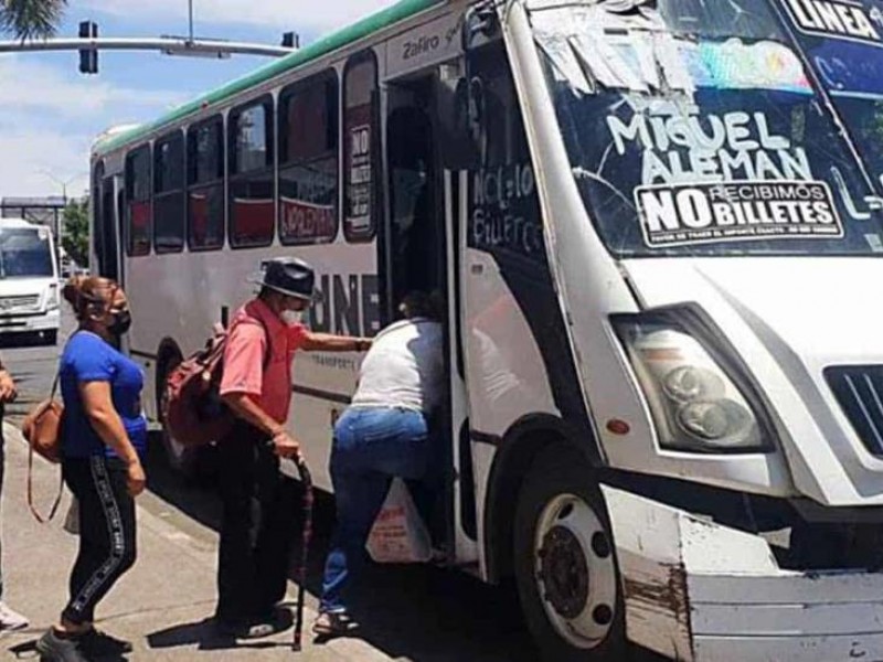 Empresas de autobuses podrían brindar servicio de transporte