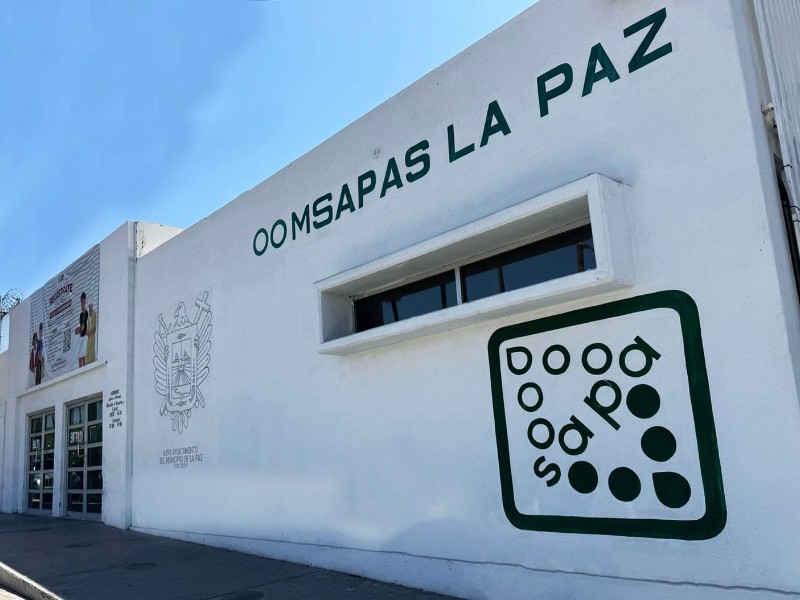 Empresas presuntamente vinculadas a grupos criminales recibieron contratos públicos en BCS