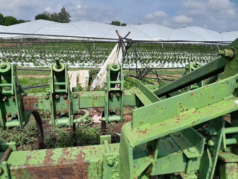 Empresas transnacionales generan afectaciones a economía de pequeños productores